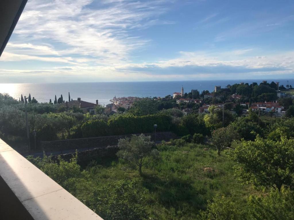 Apartmaji Jelena *